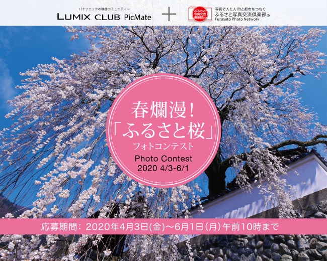 「ふるさと桜フォトコンテスト2020」開催！賞品には日本各地の名産品をご用意【パナソニックLUMIX CLUB PicMate】