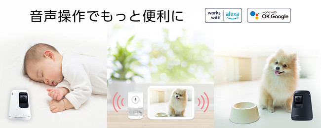 パナソニック　HDペットカメラ、ベビーカメラ、屋内HDカメラがAmazon Alexaに対応～スマートスピーカーで音声操作が可能に