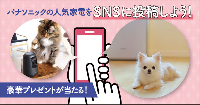 【ペットとパナソニックの家電がある暮らしを撮って、モデルデビュー！？】「＃パナソニックペット部」投稿キャンペーンが本日11/15よりスタート