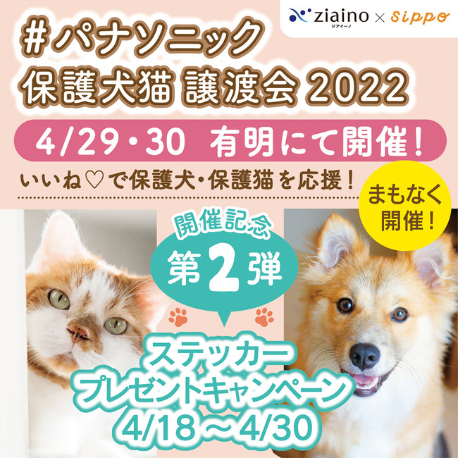 【パナソニック保護犬猫譲渡会】来場時にステッカーがもらえる！SNSキャンペーンを本日（4/18）から開始～保護犬・保護猫の写真展「みんなイヌみんなネコ」の展示写真も続々決定～