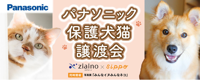 4月29日・30日実施【パナソニック保護犬猫譲渡会】レポート～418頭の保護犬・保護猫が参加し、新たな家族との出会いの場に～