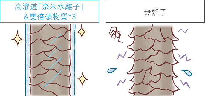 透過高滲透「奈米水離子」＆雙倍礦物質*1，保養毛鱗片，使其密合