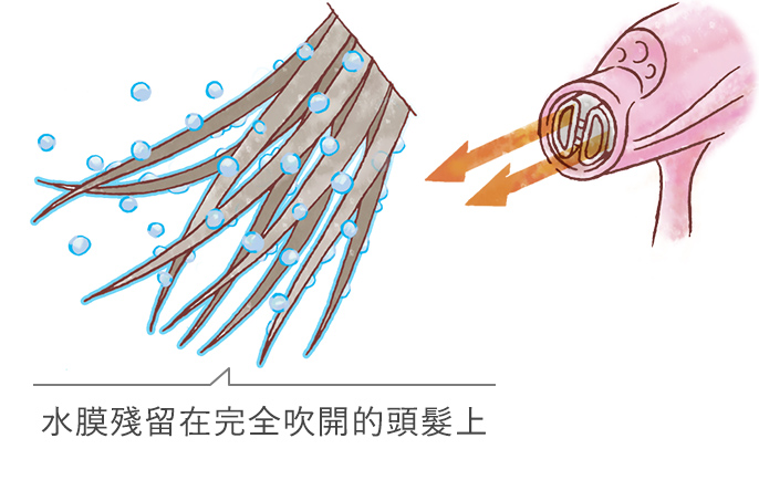 水膜殘留在完全吹開的頭髮上