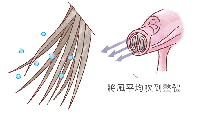 將風平均吹到整體