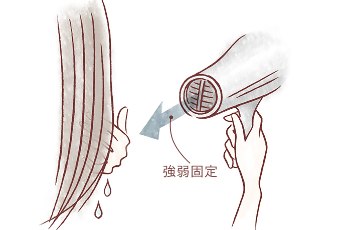 強弱固定