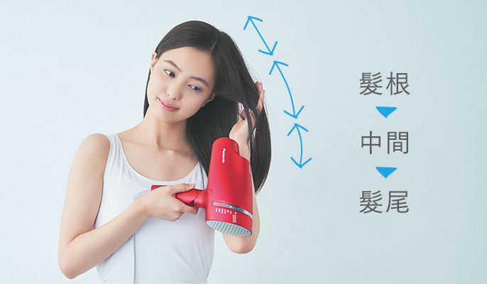 髮根 → 中間 → 髮尾